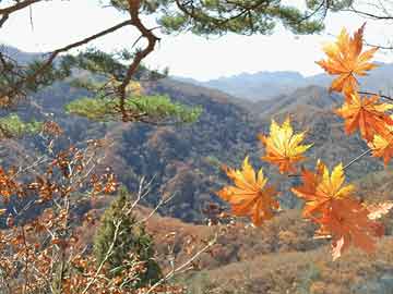 葛夕回应麦琳黄圣依打架事件